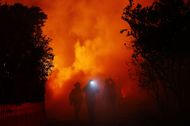 The Palisades fire erupted on January 7, 2025 (Image via Mario Tama/Getty Images)